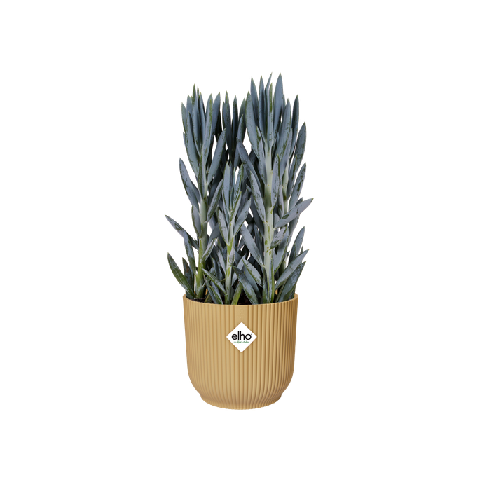 vibes fold rund 18cm buttergelb